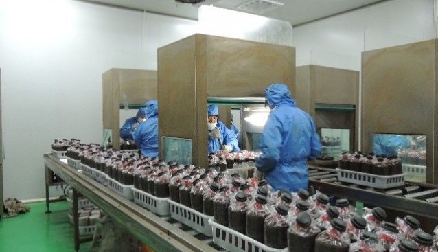 南京海曼公司在贵州建成绿色有机食用菌生产基地