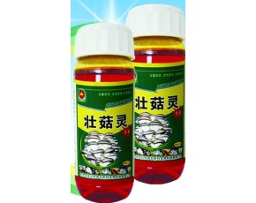 壮骨灵