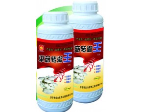 专潮快，效果好