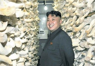 朝鮮：金正恩視察新建蘑菇廠
