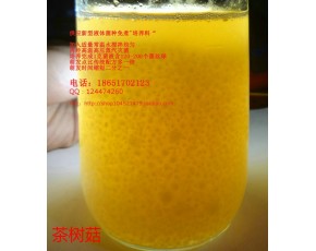 茶树菇 液体菌种 发酵罐 培养基 营养料 培养料