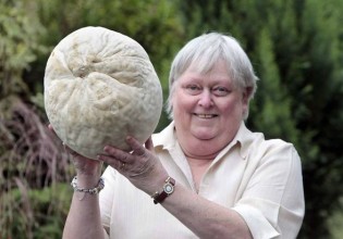 英国：“巨大蘑菇”看似外星人头部