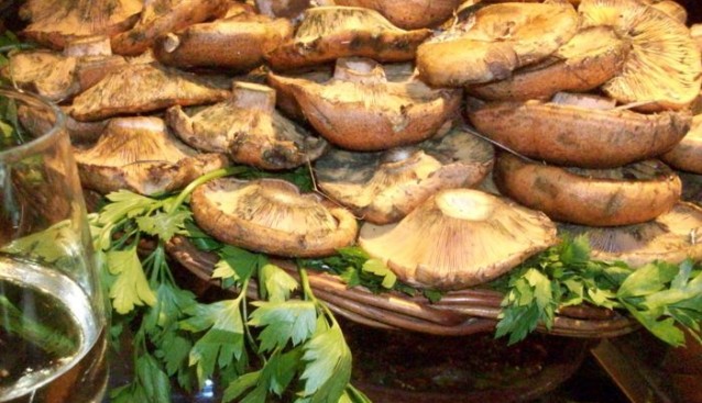 西班牙普通菜市场上的野生食用菌产品