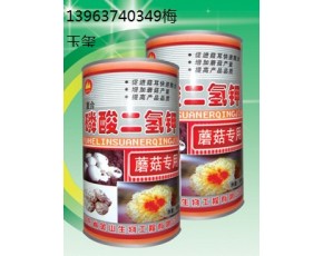 食用菌　 