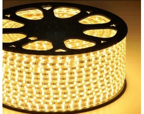 白玉菇专用LED灯