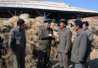 朝鲜：内阁总理朴奉柱要求加快蘑菇厂建设