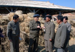 朝鮮：內(nèi)閣總理樸奉柱要求加快蘑菇廠建設