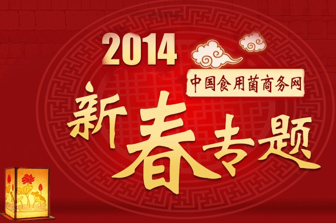2014年新春专题