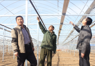 河北：平泉县努力提升食用菌生产棚室设施水平