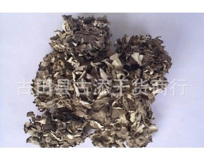 直销灰树花干品