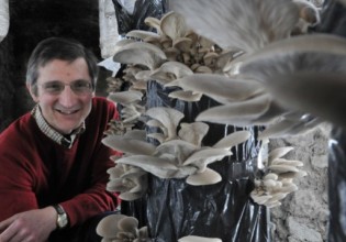 英国：退休地质学家在地下矿洞内利用咖啡渣种出平菇