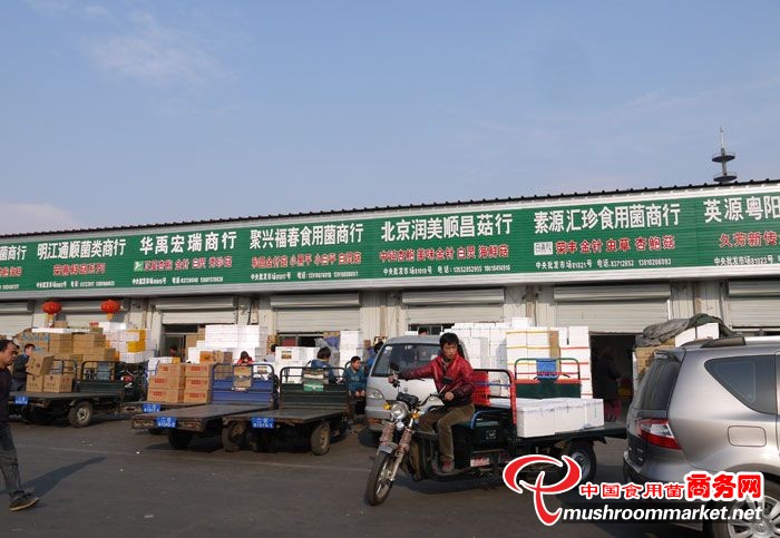 食用菌价格的晴雨表--北京新发地食用菌专营