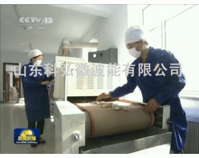 微波食用菌杀菌设备