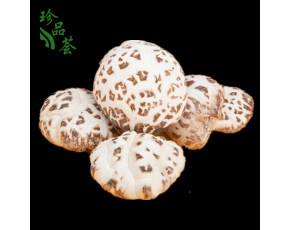 花菇 香菇 原木菇 顶级原木花菇 特级香菇干货 