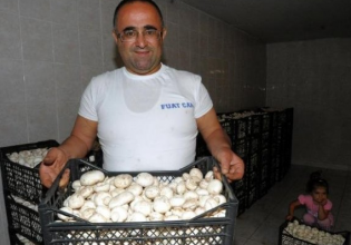 土耳其:斋月节让消费者对食用菌的需求大幅增加