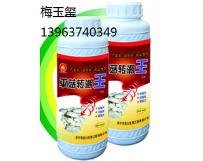 食用菌专用肥平菇转潮王　 
