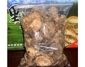 新疆野生蘑菇
