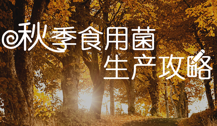 秋季食用菌生产攻略