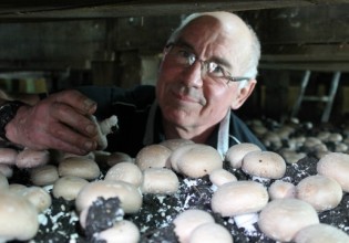 新西兰：疯狂老爸 辞职卖房只为实现孩子蘑菇梦想