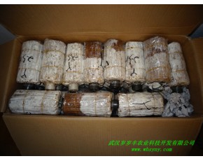 食用菌菌种销售