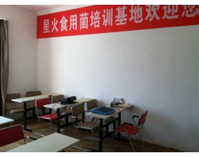 小投入大回报
