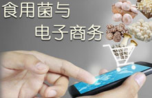 食用菌于电子商务