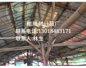 广东省珠海市食用菌租用转让菇厂
