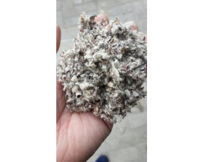 新疆压缩棉壳  