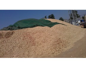 山东玉米芯，玉米芯颗粒