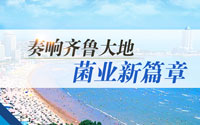 奏响齐鲁大地菌业新篇章