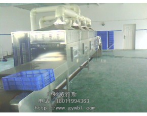 蘑菇微波烘干设备