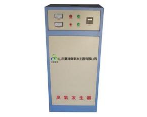 水处理臭氧发生器