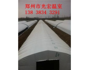 新型蘑菇大棚建造设计安装郑州大棚配件销售