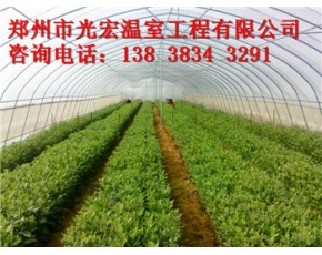 蔬菜大棚建造团队新乡简易大棚建设基地