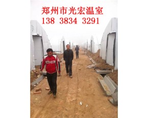 新型蘑菇大棚建造 邯郸食用菌大棚建造技术
