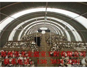 蘑菇大棚建造设计厂家长垣食用菌大棚建造标准