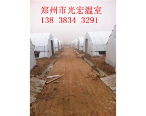 食用菌大棚建造报价朔州大棚建造标准