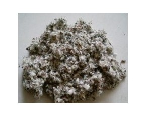 新疆优质棉壳今日报价     18909938888