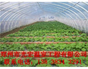 拱棚建造基本造价河北保定蔬菜拱棚建造规格