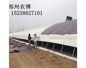 食用菌温室大棚建造