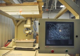 加拿大：蘑菇自動采收設備將改變食用菌傳統生產模式