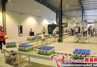 河北：光明食品集团临西县食用菌生产基地建设项目竣工