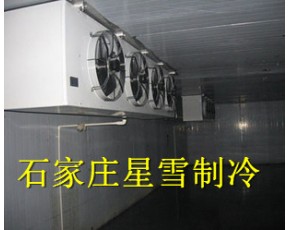 冷库建设