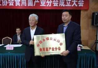 關(guān)注:中國(guó)鄉(xiāng)鎮(zhèn)企業(yè)協(xié)會(huì)食用菌產(chǎn)業(yè)分會(huì)成立