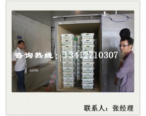 贵州有机蔬菜真空预冷机每次处理一吨蘑菇保鲜制冷设备