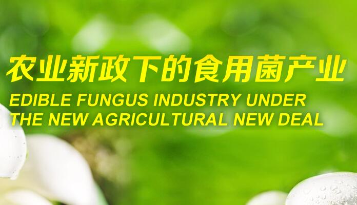 农业政策下的食用菌