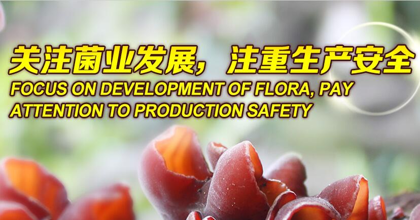 关注菌业发展，注重生产安全