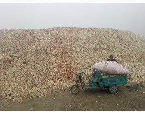 山东菏泽常年出售玉米芯颗粒无霉变无杂志水分15以下
