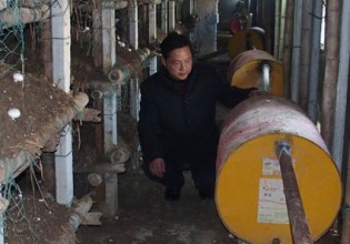 安徽：淮南农民研发双孢菇种植保温装置获国家专利