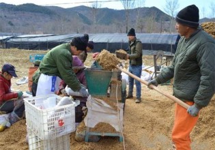 河北：人勤春來(lái)早 菌鄉(xiāng)備料忙